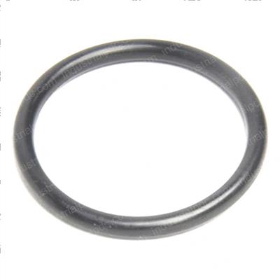 Picture of O-Ring