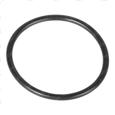 Picture of O-Ring