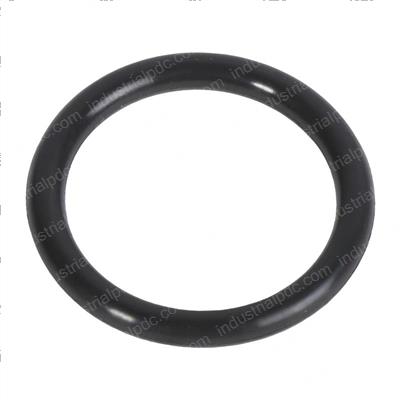 Picture of O-Ring