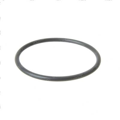 Picture of O-Ring