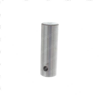 Picture of Pin