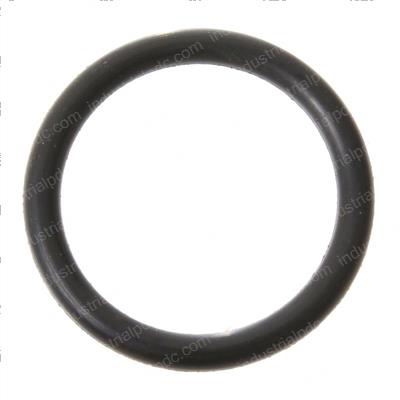 Picture of O-Ring