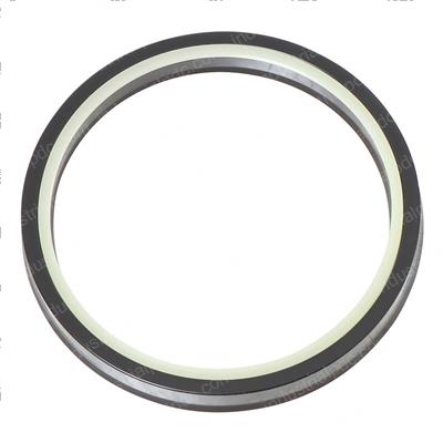 Picture of Seal