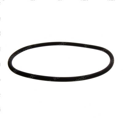 Picture of O-Ring