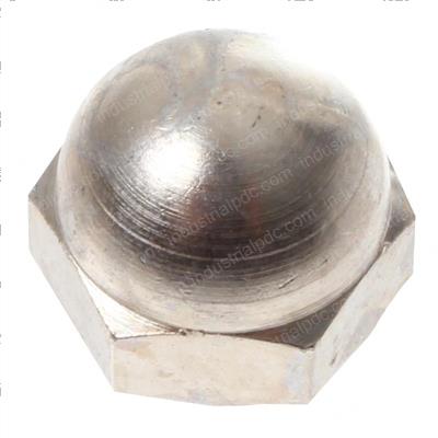 Picture of Nut-Spec Acorn