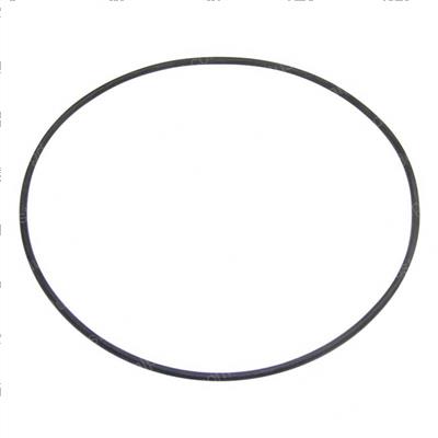 Picture of O-Ring