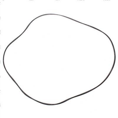 Picture of O-Ring