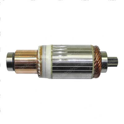 Picture of Armature Assembly