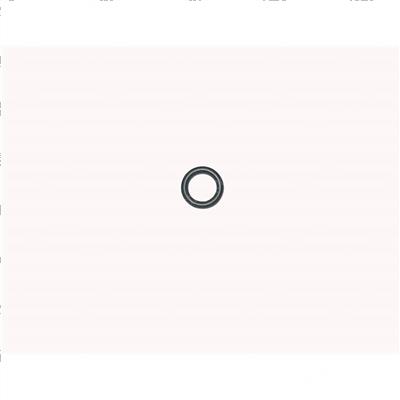 Picture of O-Ring
