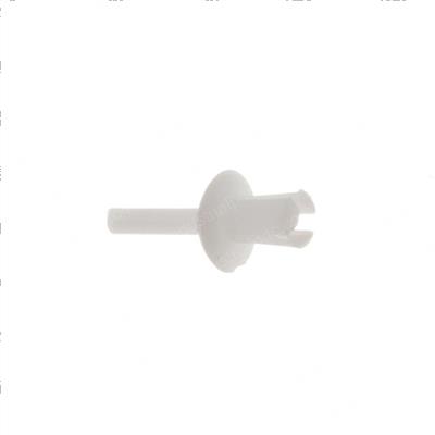 Picture of Rivet  Plastic