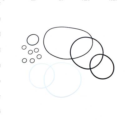 Picture of O-Ring Kit  Ausco 1200 in/Lb