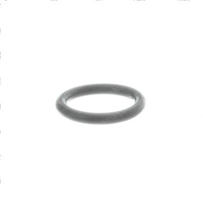 Picture of O-Ring