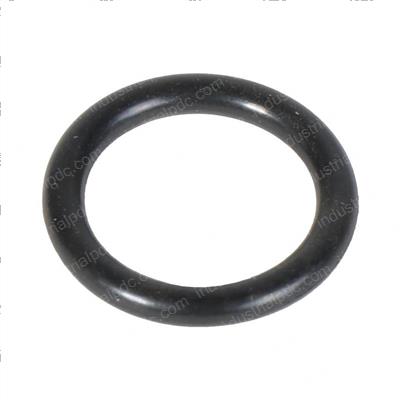 Picture of O-Ring