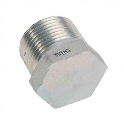 Picture of Plug