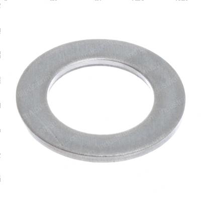 Picture of Washer - Flat .54b .88d .06 Ss