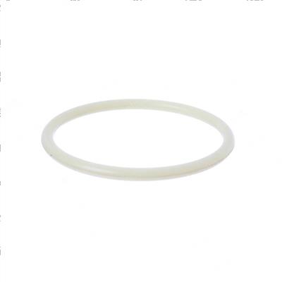 Picture of O-Ring