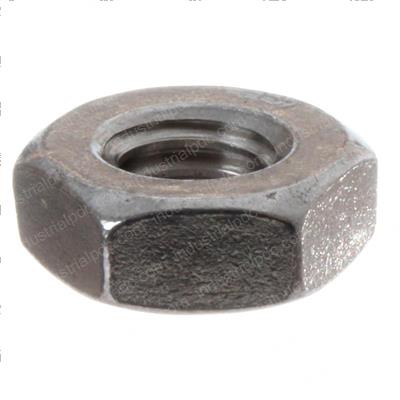 Picture of Nut - Hex Std .31-18 Ss