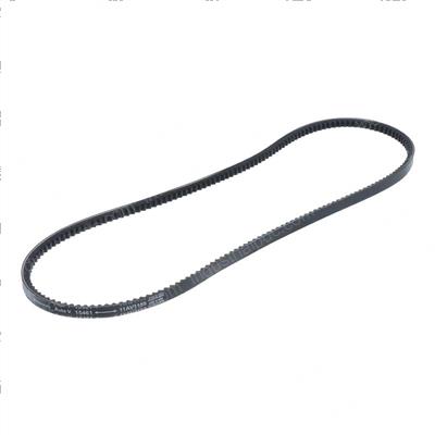 Picture of Alternator Belt