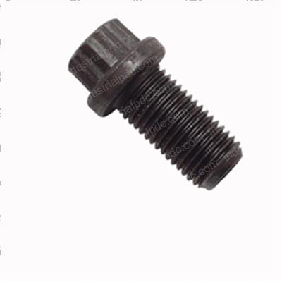 Picture of Bolt - 12pt Flange