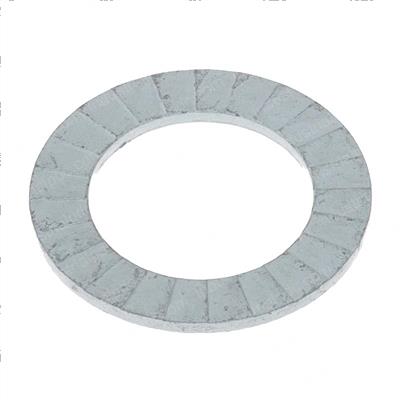 Picture of Washer 3/4 Nordlock Secure