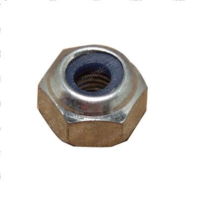 Picture of Nut