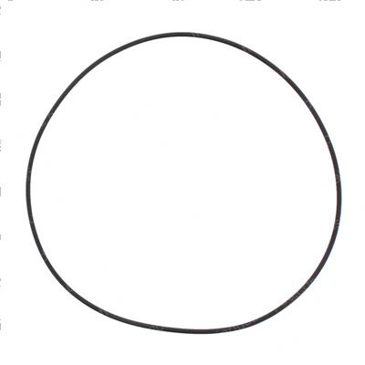 Picture of O-Ring
