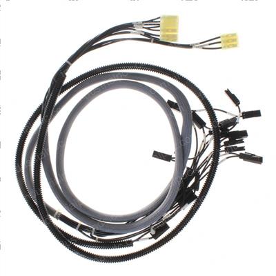 Picture of Harness