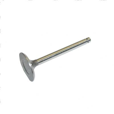 Picture of Valve - Intake