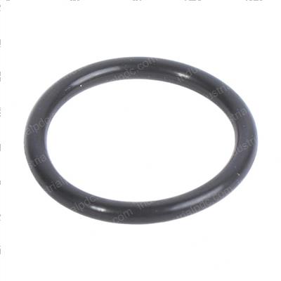 Picture of O-Ring