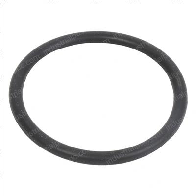 Picture of O-Ring