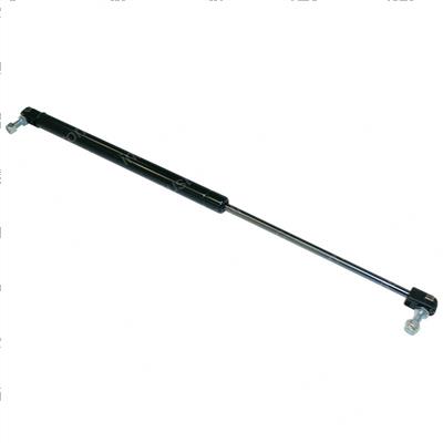 Picture of Spring - Gas