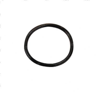 Picture of O-Ring