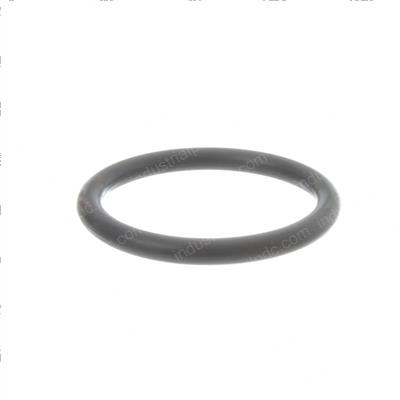 Picture of O-Ring