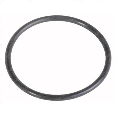 Picture of O-Ring
