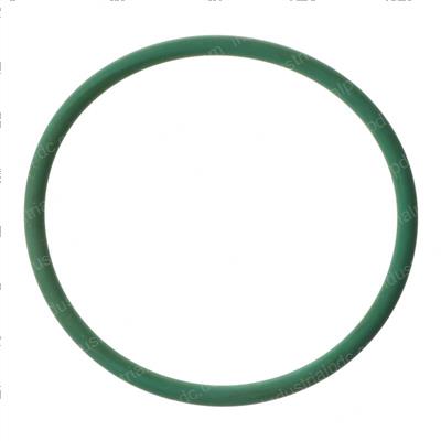 Picture of O-Ring