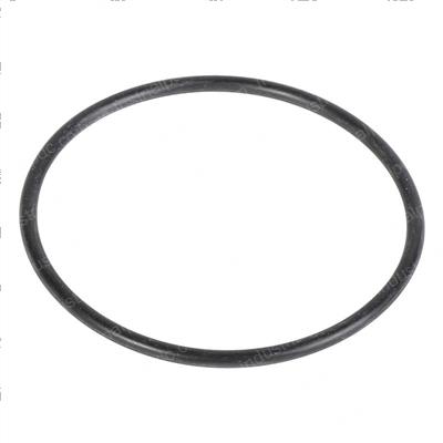 Picture of O-Ring