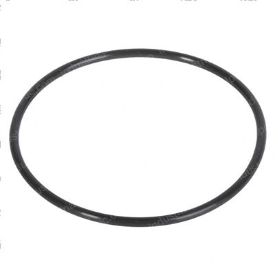Picture of O-Ring