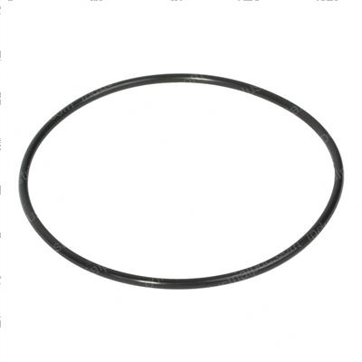Picture of O-Ring
