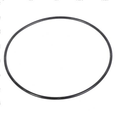 Picture of O-Ring