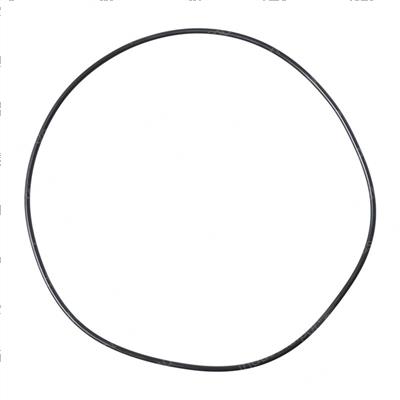 Picture of O-Ring