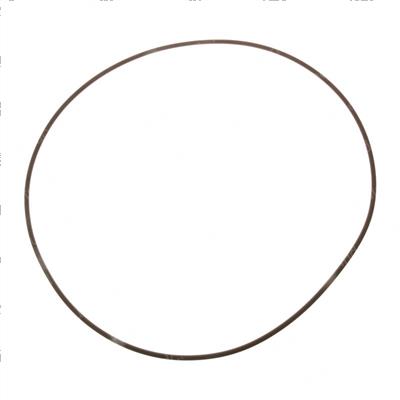 Picture of O-Ring