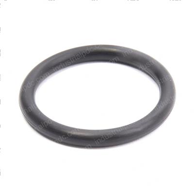 Picture of O-Ring