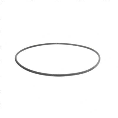 Picture of O-Ring