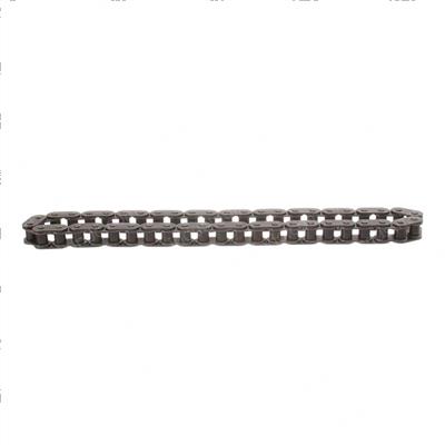 Picture of Chain - Timing