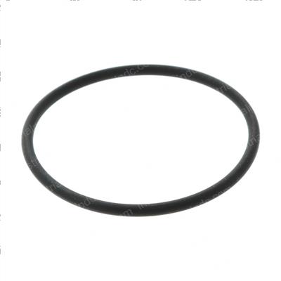 Picture of O-Ring
