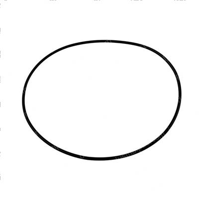Picture of O-Ring