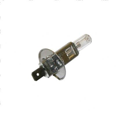 Picture of Bulb