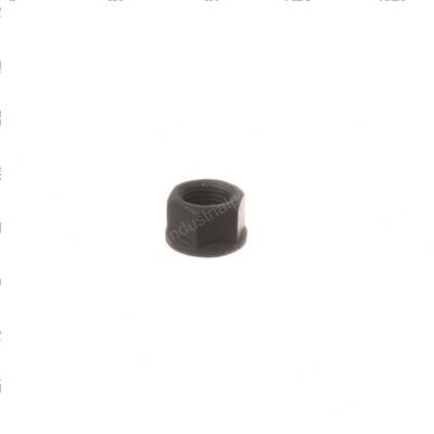 Picture of Nut