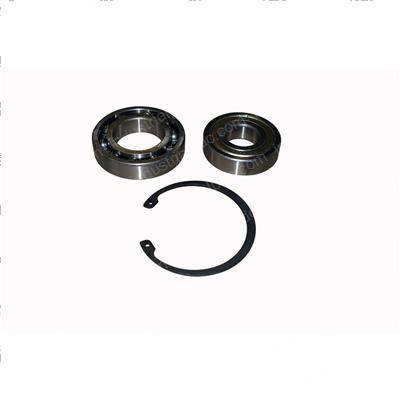 Picture of Bearing Kit