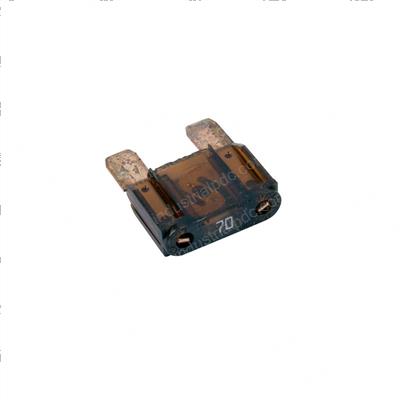 Picture of Fuse 70a